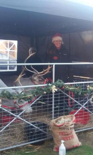 Gallery | Reindeer Hire company in London  and Essex gallery image 3