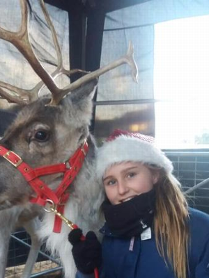 Gallery | Reindeer Hire company in London  and Essex gallery image 5