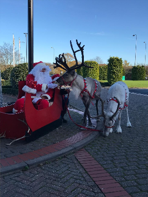 Gallery | Reindeer Hire company in London  and Essex gallery image 10