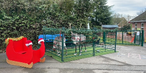 Gallery | Reindeer Hire company in London  and Essex gallery image 51