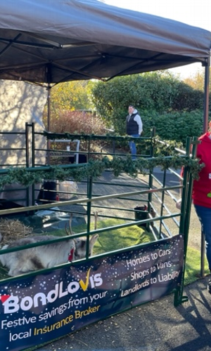 Gallery | Reindeer Hire company in London  and Essex gallery image 43