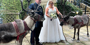 Gallery | Reindeer Hire company in London  and Essex gallery image 61